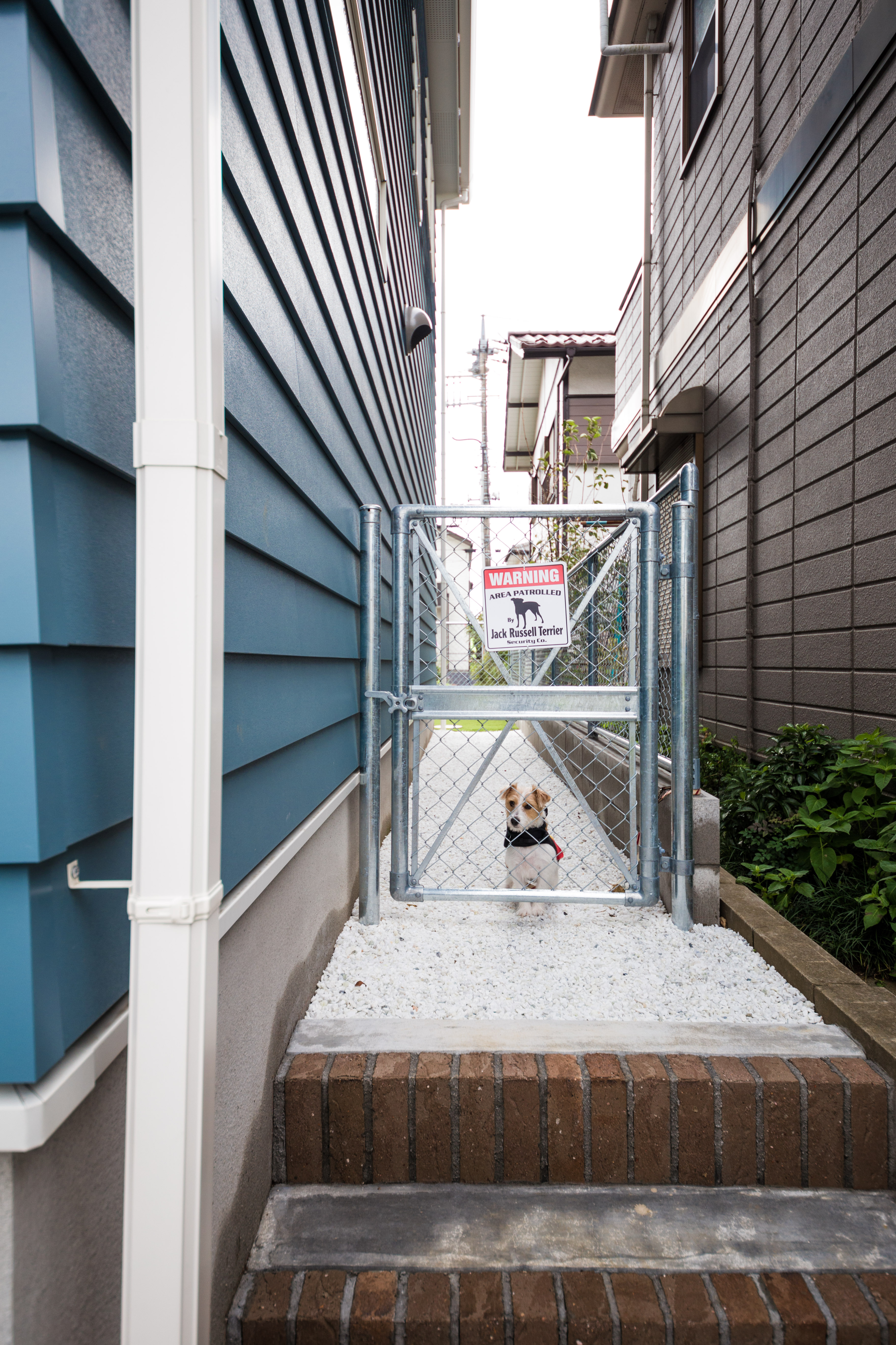 金網フェンスのおしゃれな外構