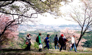 【千葉県への移住に使える補助金は？】千葉県が移住におすすめの理由と補助金を受ける場合の注意点も解説
