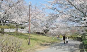 「プチ移住」とは│5つのメリット・4つのデメリットを紹介