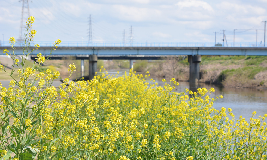 まとめ│都会に近い田舎暮らしで